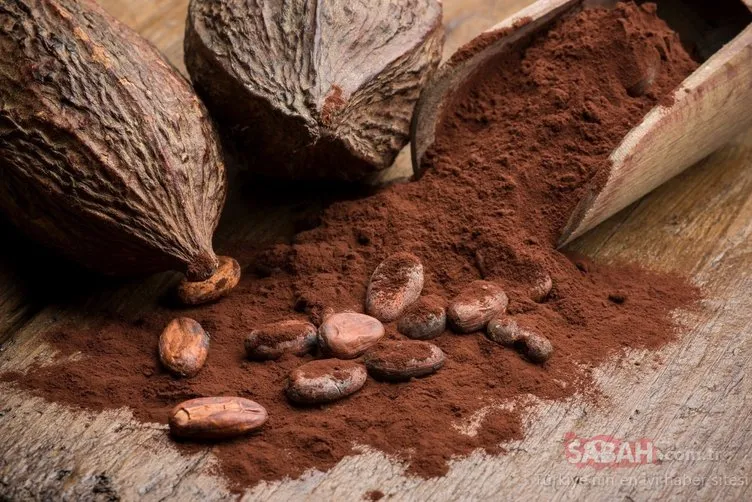 Binlerce yıl önce ilaç olarak kullanılıyordu! Bu besin hastalıklara kalkan oluyor...