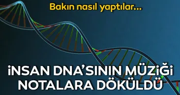 İnsan DNA’sının müziği notalara döküldü