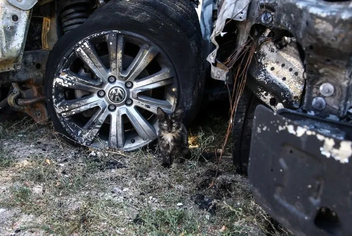 FETÖ'cü hainler 15 Temmuz gecesi polis araçlarını bu hale getirdi