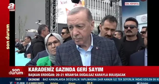 Başkan Erdoğan'dan A Haber'e özel açıklamalar: 20-21 Nisan'da doğal gaz karayla buluşacak
