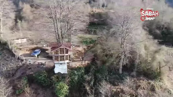 150 yıllık ağacın gövdesine 2+1 ev yaptı | Video