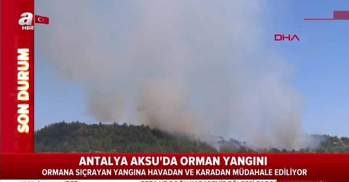 Son Dakika Antalya Da Orman Yangini Video Videosunu Izle Son Dakika Haberleri