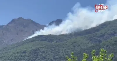 Yunanistan’ın Semadirek Adası’nda orman yangını | Video
