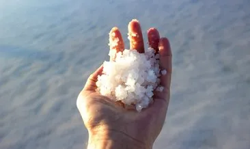 İşte beyni koruyan üç silahşör!