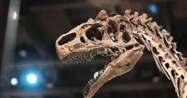 Tayland’da iki yeni dinozor türü keşfedildi