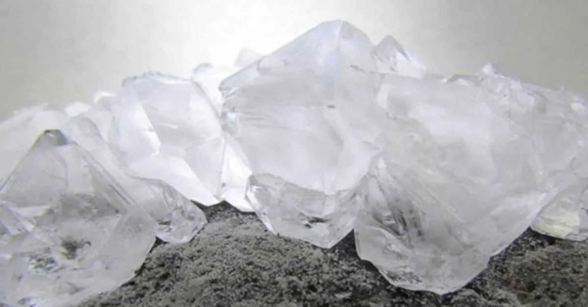 sap nedir ne ise yarar sap nerede kullanilir saglik haberleri sap nedir ne ise yarar sap nerede kullanilir saglik haberleri