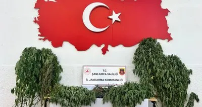 Şanlıurfa’da 3 ilçede eş zamanlı operasyon: 6 kişi yakalandı #sanliurfa
