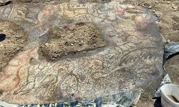 Çiftçilik yapan iki kardeş Roma mozaiği buldu