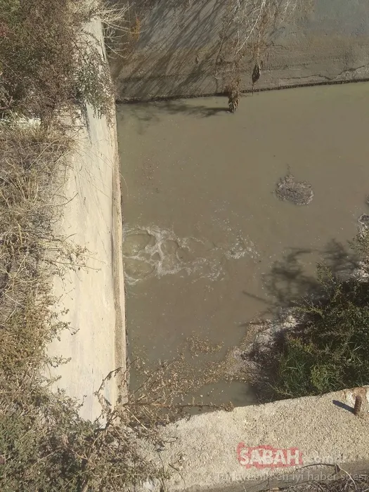 İzmir Büyükşehir Belediyesi’ne çevre kirliliği cezası! Toplam 4 milyon TL