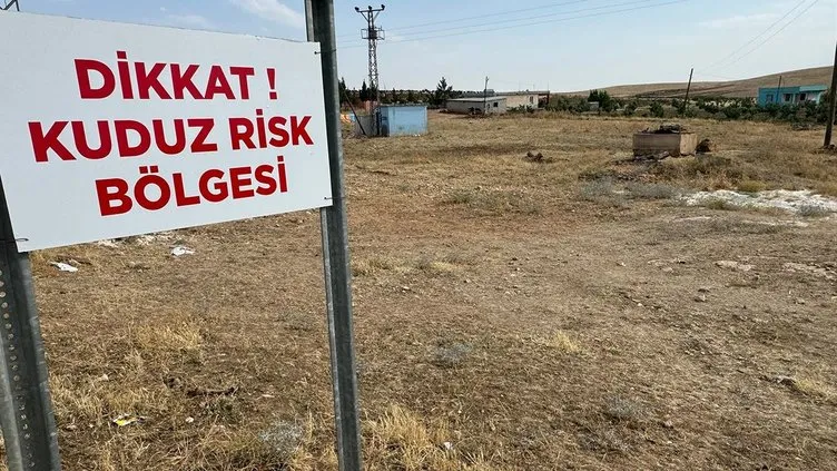 9 yaşındaki çocuk kuduz nedeniyle öldü! Ailesi acı haberi alınca yıkıldı!