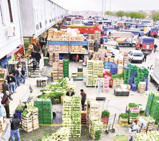 araciya-nester-yerli-uretime-tesvik-1792699403224.jpeg