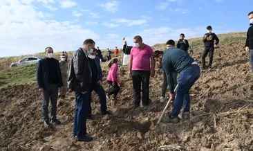 Adıyaman’da nar dikimi yapıldı
