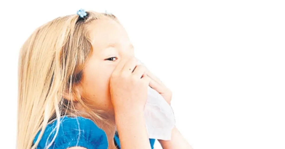 Alerjisi Bulunan Cocuklar Icin Okul Tedbir Almali Ankara Baskent Haberleri