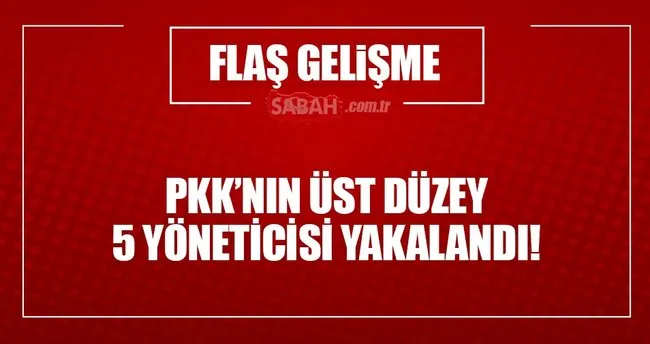 PKK’nın 5 üst düzey yöneticisi yakalandı!