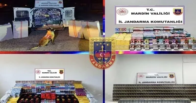 Mardin’de kaçak tütün operasyonu