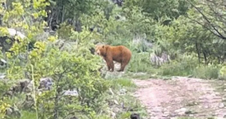 Kocaoğlan Erciyes’in eteklerinde