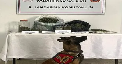 Jandarma Ereğli’de uyuşturucu maddeleri ele geçirdi