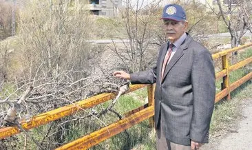 Orman Dede 35 yıldır yeşillendiriyor #kayseri