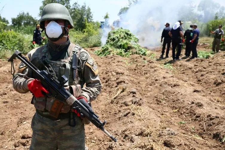 PKK’nın zehir tarlalarına operasyon