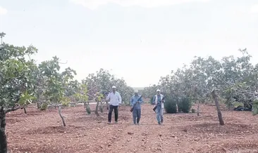 Canları pahasına koruyorlar