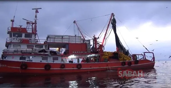 Hamsinin en tazesini onlar yiyor