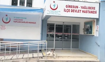 Sahibini hastane önünde bekliyor