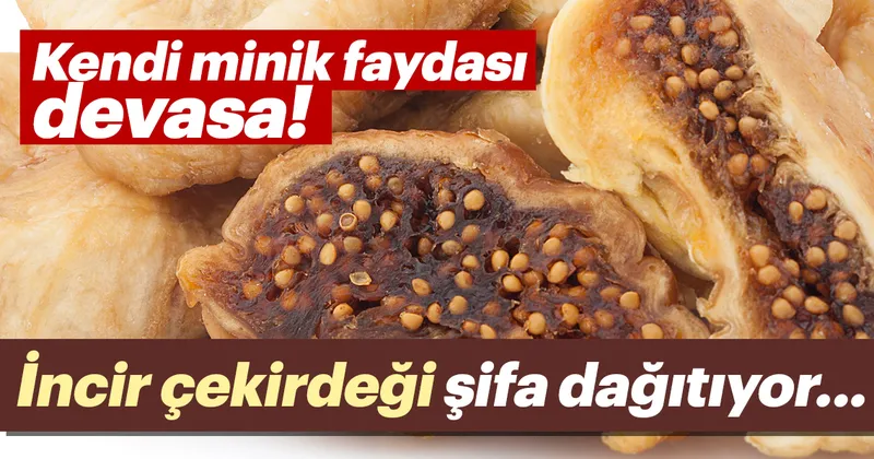 Incir Cekirdegi Yaginin Faydalari Nelerdir Saglik Haberleri Incir Cekirdegi Yaginin Faydalari Nelerdir Saglik Haberleri