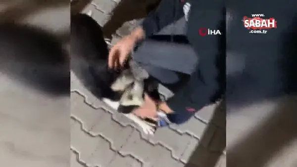 Köpeğin ağzını zorla açıp içki dökerek işkence yaptıkları o anları sosyal medyada paylaştılar | Video