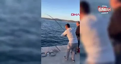 Beykoz’da oltasına yavru köpek balığı takıldı | Video