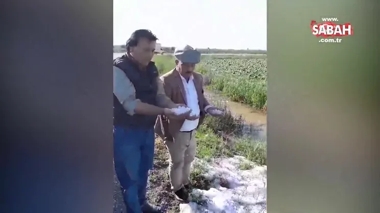 Yağış ve Dolu Tarsus'ta 9 köyde ekili alanlarda tahribata yol açtı