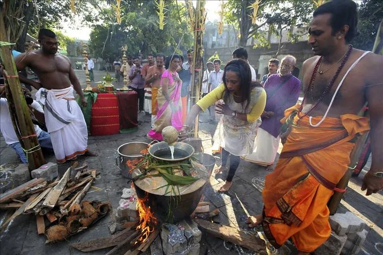 Thai Pongal Hindu Festivali Sri Lanka