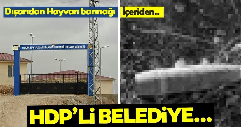 HDP’li belediyenin hayvan barınağında havan mermisi bulundu!
