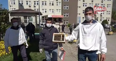 Bursa’da binlerce arının şok eden ölümü | Video