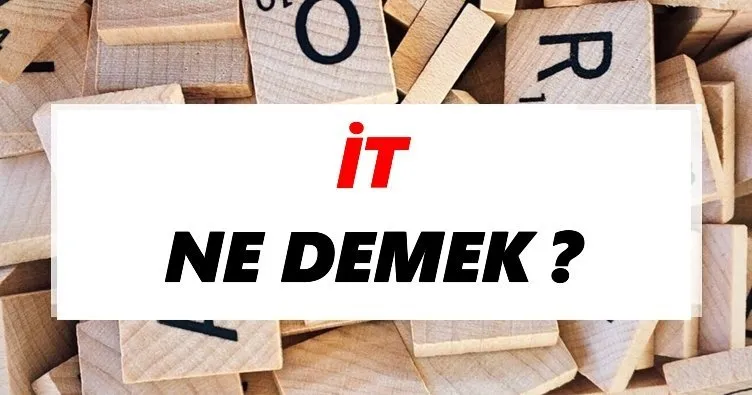 İt Ne Demek? TDK Anlamına Göre İt Sözlük Anlamı Nedir?