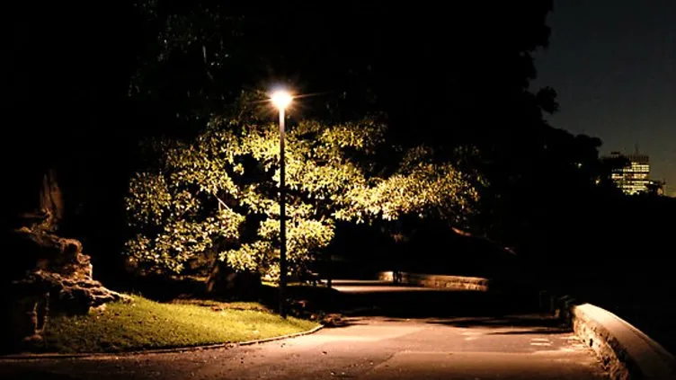 Sokak lambaları meme kanseri riskini artırıyor