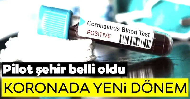 Pilot Il Belli Oldu Turkiye De Rastgele Test Donemi Son Dakika Haberler