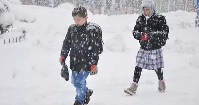 Ardahan ve Van ve Artvin’de okullar tatil mi edildi, bugün okul var mı, yok mu? Valilik’ten son dakika kar tatili açıklaması geldi!