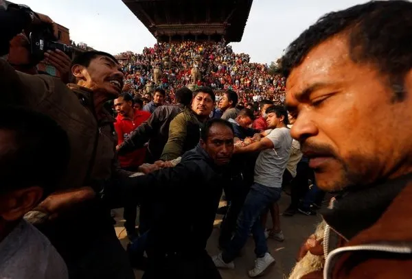 Nepal'in yeni yıl festivali: Bisket Jatra