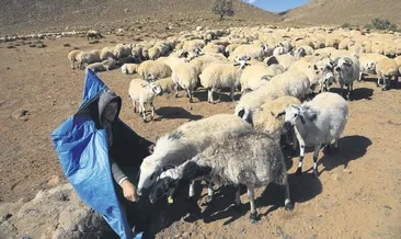 Göçerlerin dönüş yolculuğu başladı