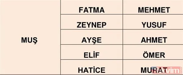 turkiye de en cok kullanilan isimler