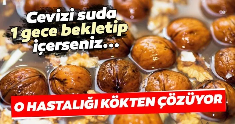 Cevizi bir gece suda bekletip içerseniz sağlığa olan etkisine inanamayacaksınız