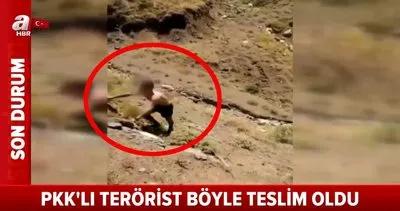 Son Dakika Haberi: PKK’lı teröristin Mehmetçiklere teslim olma anı kamerada | Video