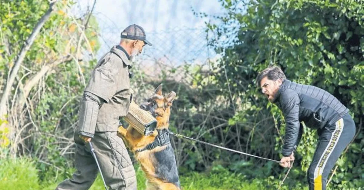Aldiklari Egitim Ile Sasirtiyorlar Akdeniz Haberleri
