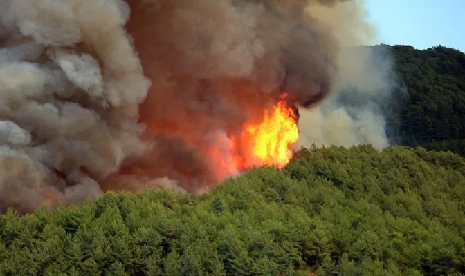 Orman yangınlarına ‘güvenli bölge’ önlemi