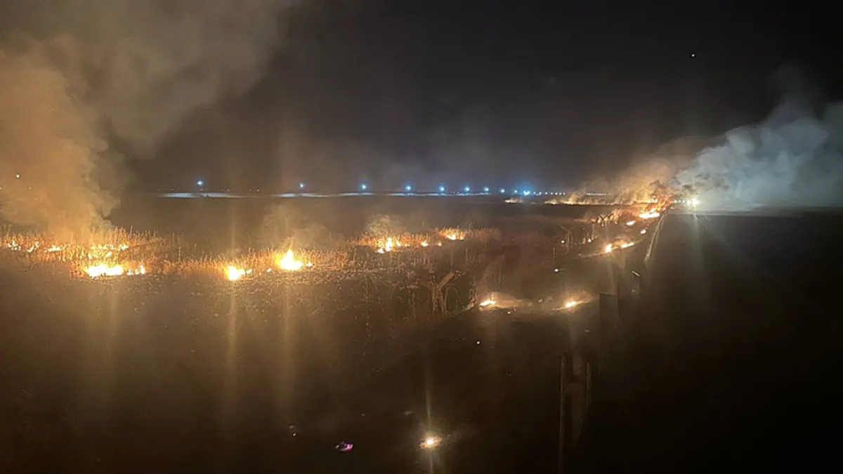 Mardin Kızıltepe'de çıkan örtü yangını söndürüldü
