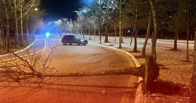 Fırtına ağaçları devirdi, minareyi yıktı #isparta