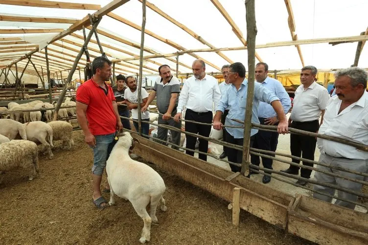 Son dakika: İstanbul Valiliği Kurban Bayramı tedbirlerini açıkladı