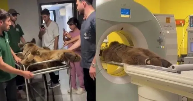 Ayı Okan’dan haber var! Mide rahatsızlığı geçirip MR’a girmişti! Bu yüzden kendi ismimi verdim...
