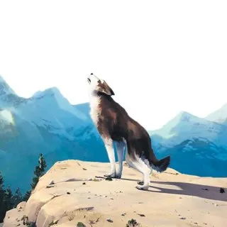 Köpek olmak da zor