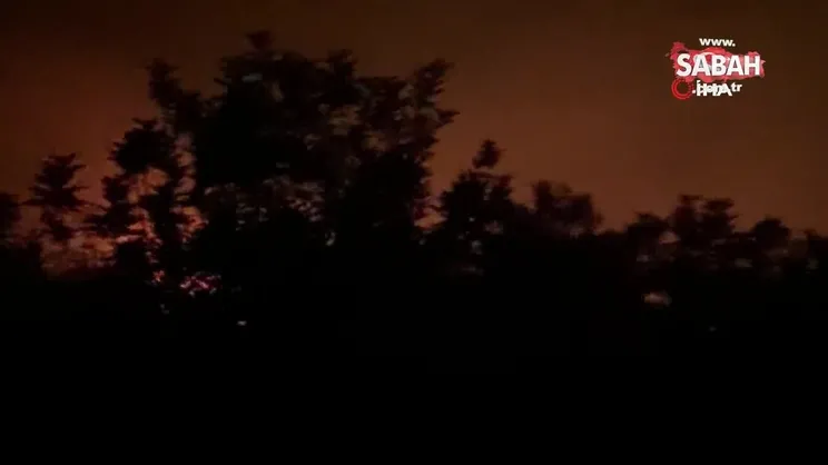 Adana Kozan'da orman yangını | Video